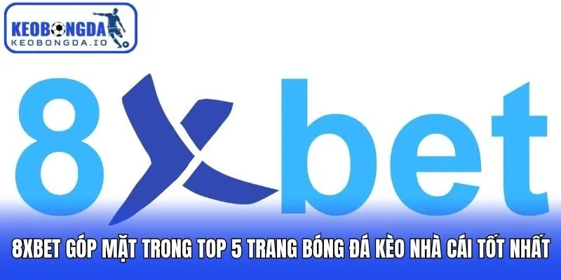 8XBET góp mặt trong top 5 trang bóng đá kèo nhà cái tốt nhất