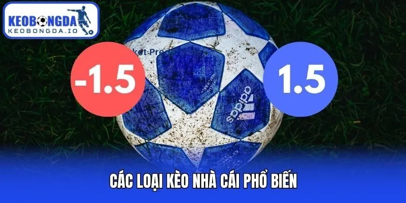 Các loại kèo nhà cái phổ biến