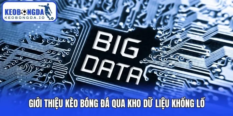 Giới thiệu Kèo bóng đá qua kho dữ liệu khổng lồ