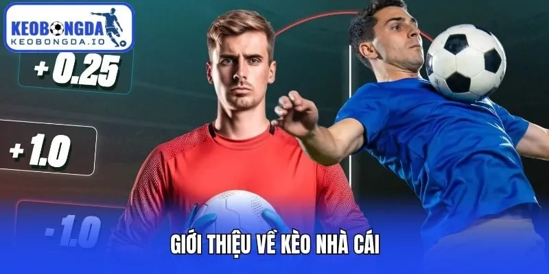 Giới thiệu về kèo nhà cái