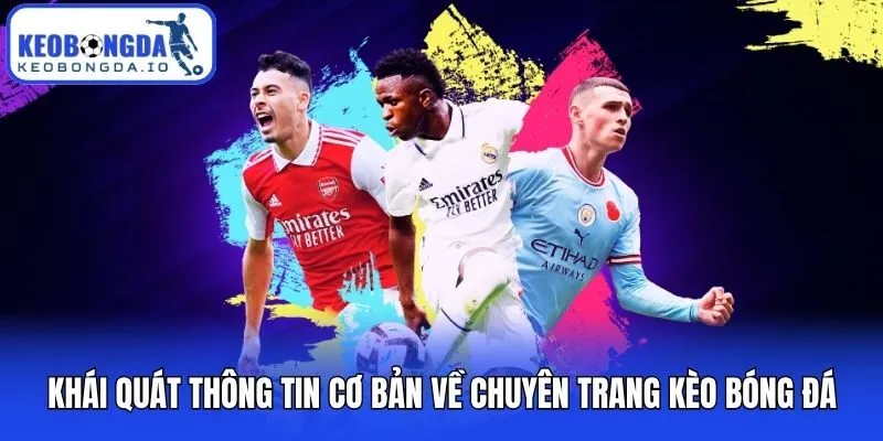 Khái quát thông tin cơ bản về chuyên trang Kèo bóng đá