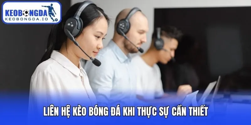 Liên hệ Kèo bóng đá khi thực sự cần thiết