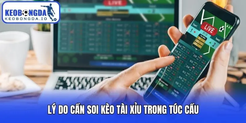 Lý do cần soi kèo tài xỉu trong túc cầu