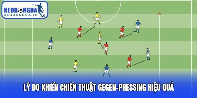 Chiến Thuật Gegen-pressing Là Gì Và Các Nguyên Tắc Cốt Lõi 3 Lý do khiến chiến thuật Gegen-pressing hiệu quả