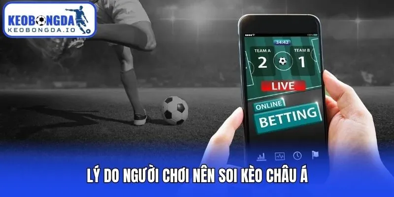 Lý do người chơi nên soi kèo châu Á