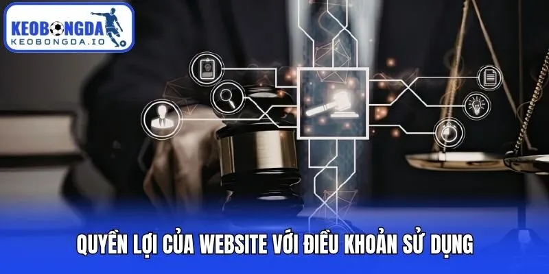 Quyền lợi của website với điều khoản sử dụng
