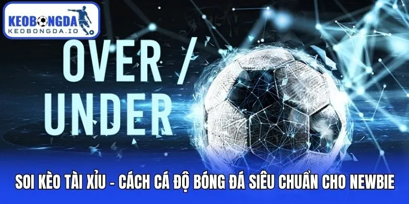 Soi Kèo Tài Xỉu - Cách Cá Độ Bóng Đá Siêu Chuẩn Cho Newbie