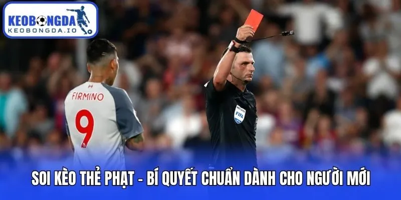Soi Kèo Thẻ Phạt - Bí Quyết Chuẩn Dành Cho Người Mới