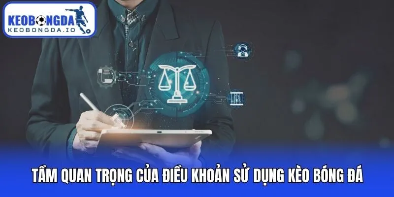 Tầm quan trọng của điều khoản sử dụng Kèo bóng đá