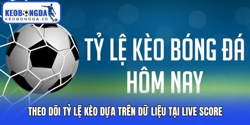 Live Score 2 Theo dõi tỷ lệ kèo dựa trên dữ liệu tại Live Score