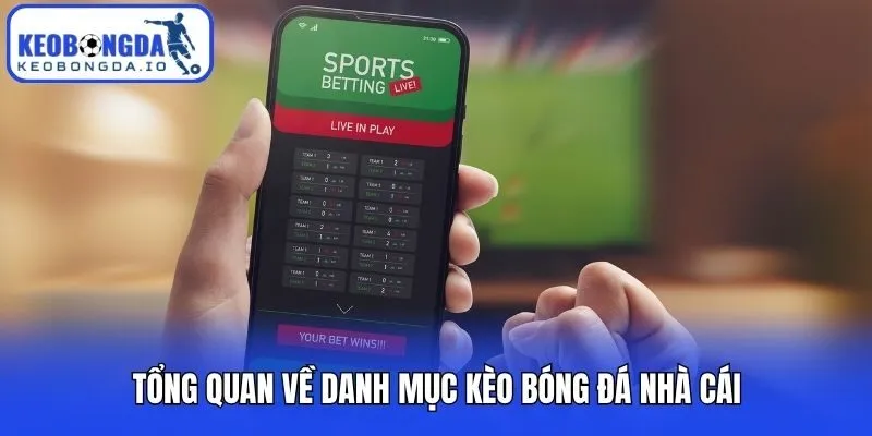 Tổng quan về danh mục kèo bóng đá nhà cái