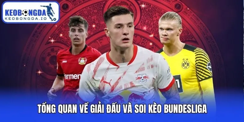 Tổng quan về giải đấu và soi kèo Bundesliga