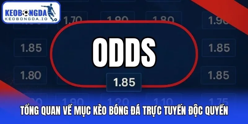 Tổng quan về mục kèo bóng đá trực tuyến độc quyền